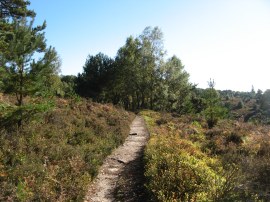 Path nr Polecat Valley